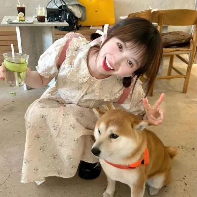 嗨！营业中第三季