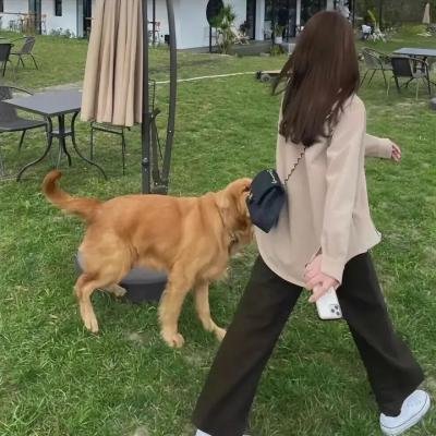 小可爱娜斯佳第三季